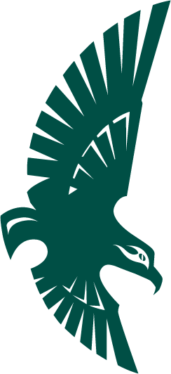 NC-Wilmington Seahawks 1992-2014 Secondary Logo t shirts iron on transfers
